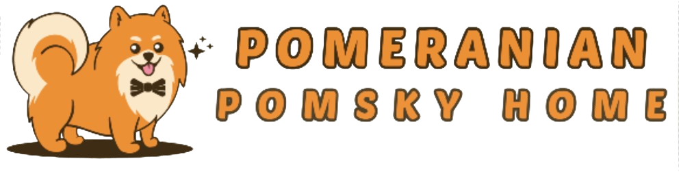 Pomeranian Puppies for Sale and Adoption